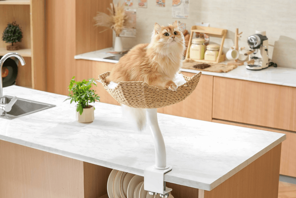 DeskMate Sustainable Desk - Mounted Side Companion Cat Tree - White - House Of Pets Delight (HOPD)