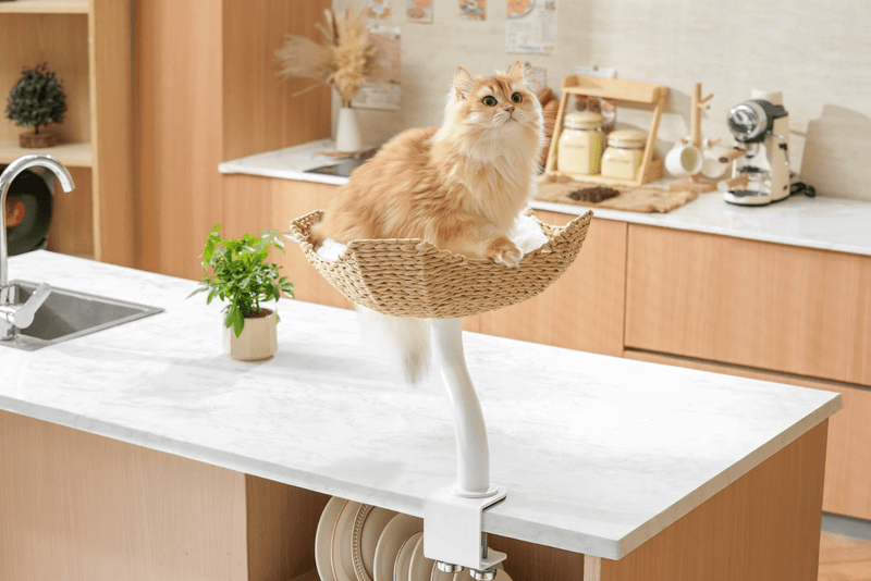 DeskMate Sustainable Desk - Mounted Side Companion Cat Tree - White - House Of Pets Delight (HOPD)