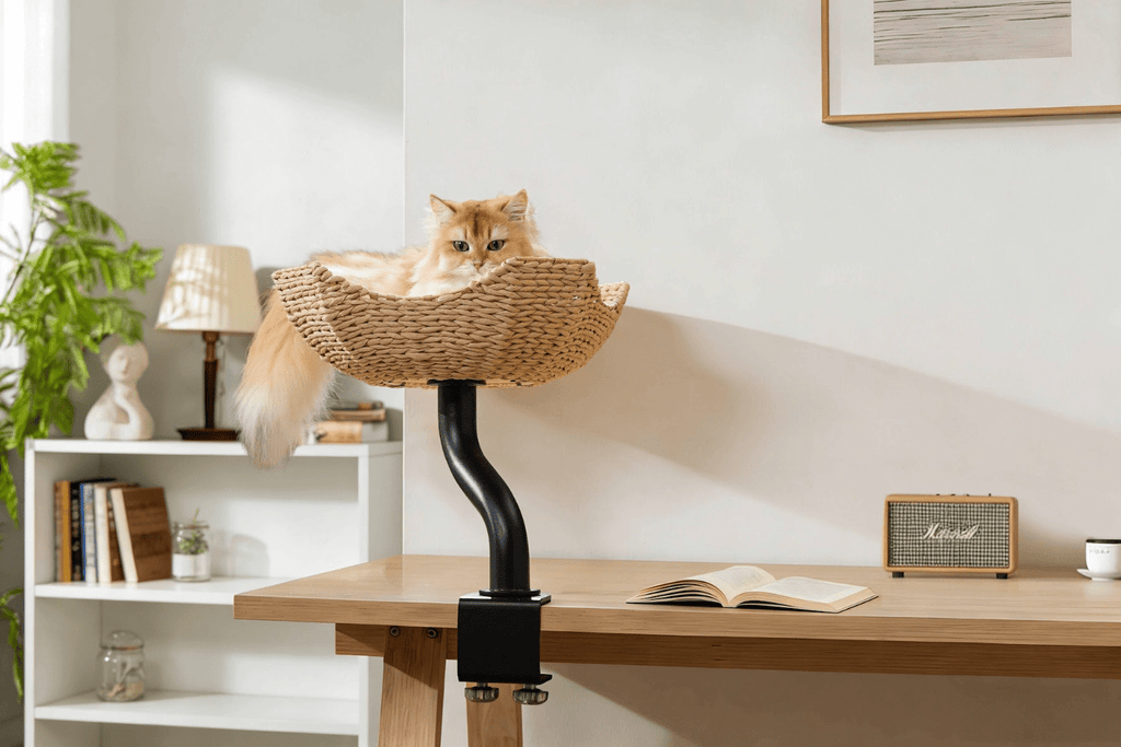 DeskMate Sustainable Desk - Mounted Side Companion Cat Tree - White - House Of Pets Delight (HOPD)