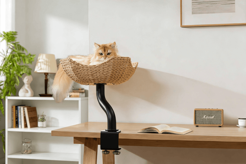 DeskMate Sustainable Desk - Mounted Side Companion Cat Tree - White - House Of Pets Delight (HOPD)