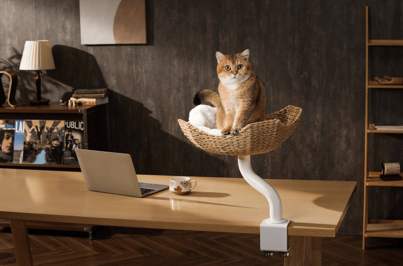 DeskMate Sustainable Desk - Mounted Side Companion Cat Tree - White - House Of Pets Delight (HOPD)