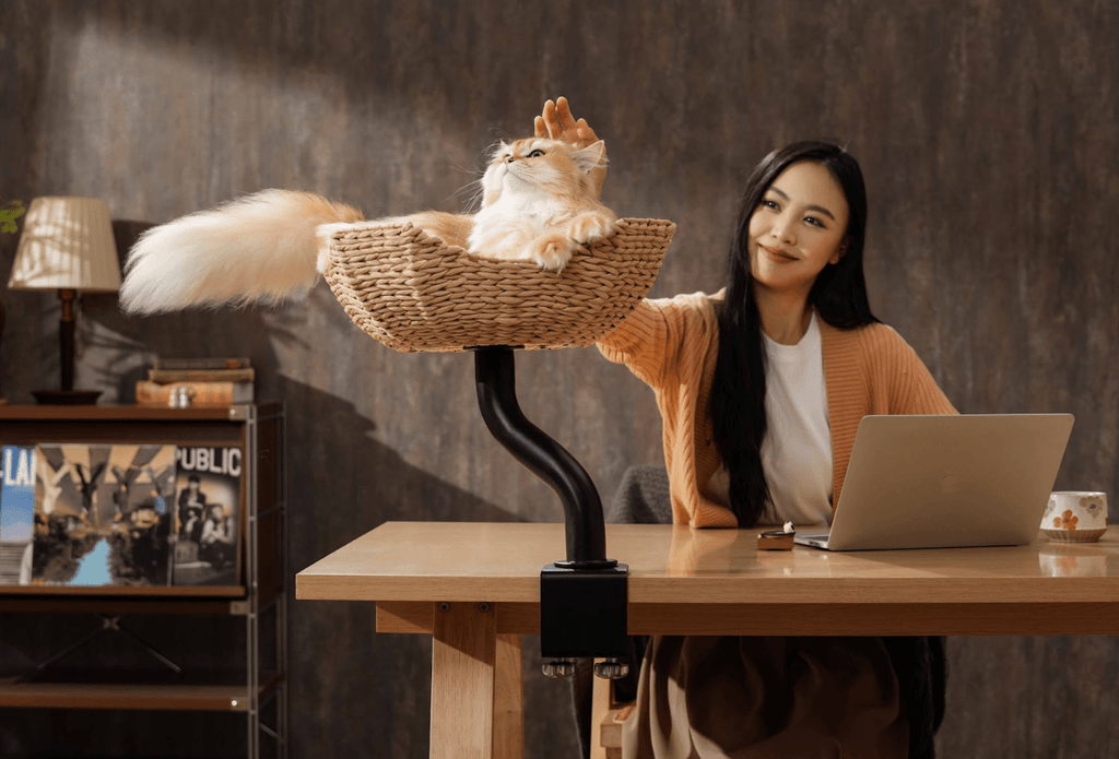 DeskMate Sustainable Desk - Mounted Side Companion Cat Tree - White - House Of Pets Delight (HOPD)
