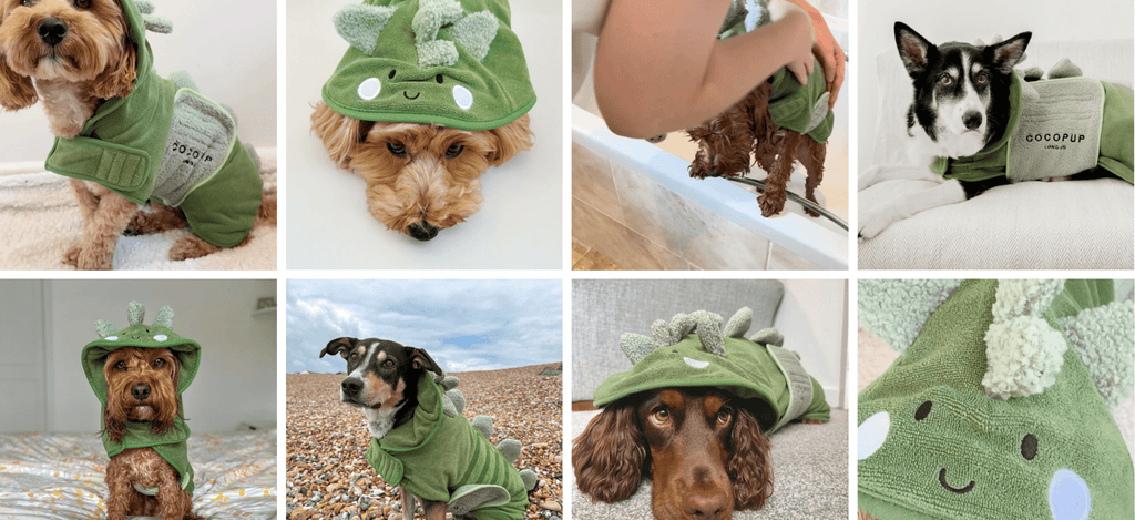 Dinopup Drying Robe - House Of Pets Delight (HOPD)