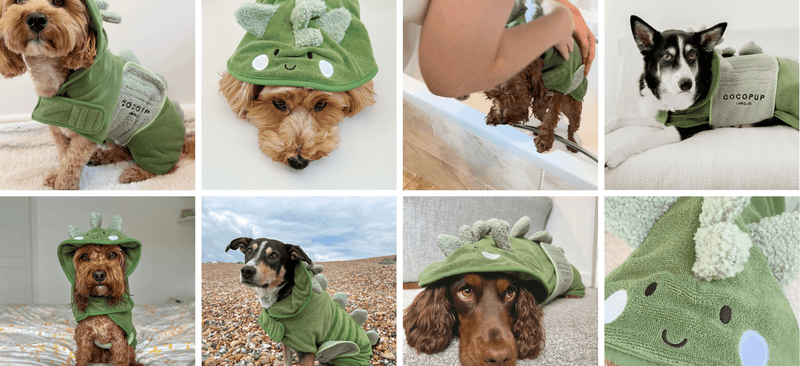 Dinopup Drying Robe - House Of Pets Delight (HOPD)