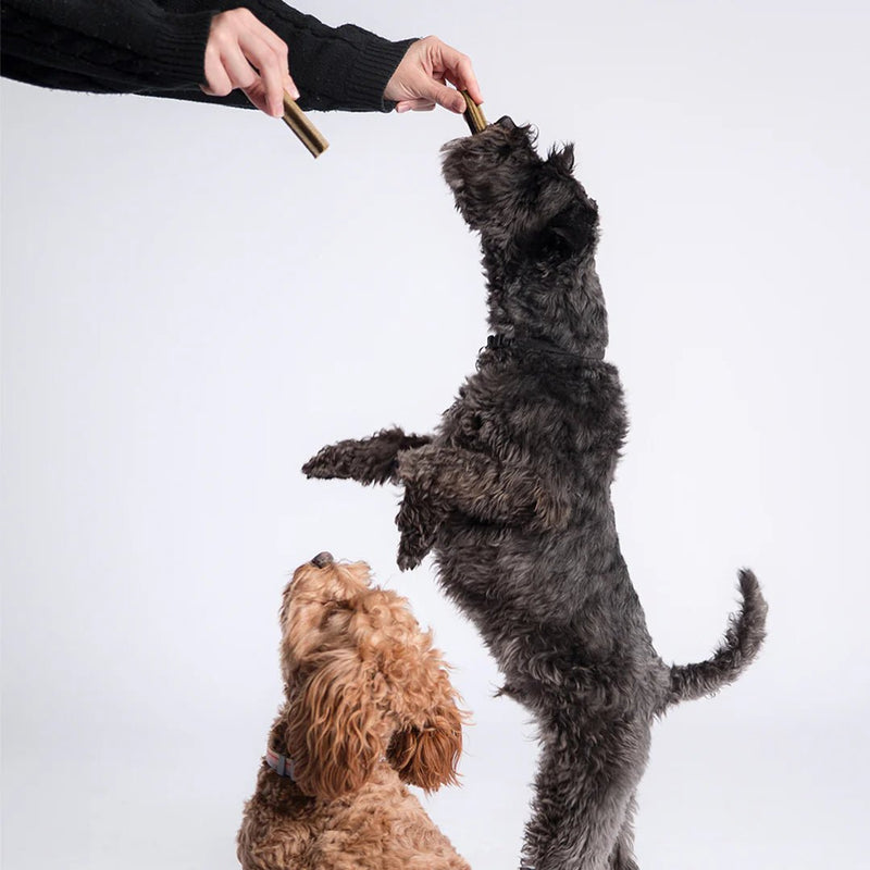 Dog Dental Sticks Lamb Mint & Manuka Honey - House Of Pets Delight (HOPD)