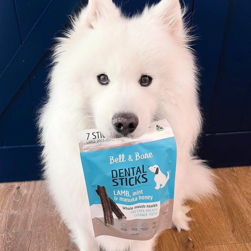 Dog Dental Sticks Lamb Mint & Manuka Honey - House Of Pets Delight (HOPD)