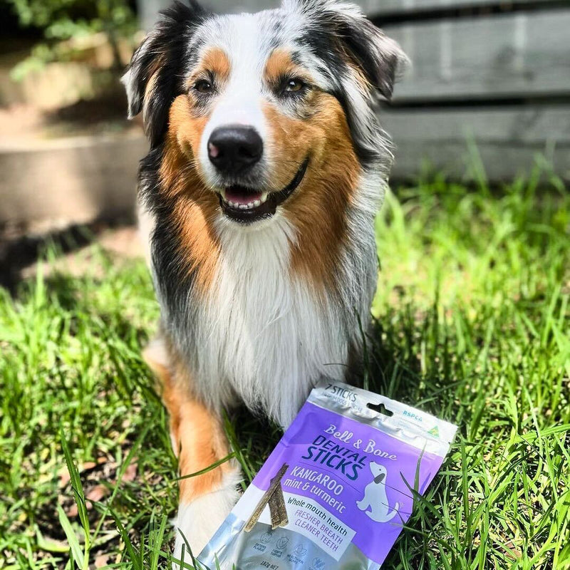 Dog Dental Sticks Roo Mint & Turmeric Small - House Of Pets Delight (HOPD)