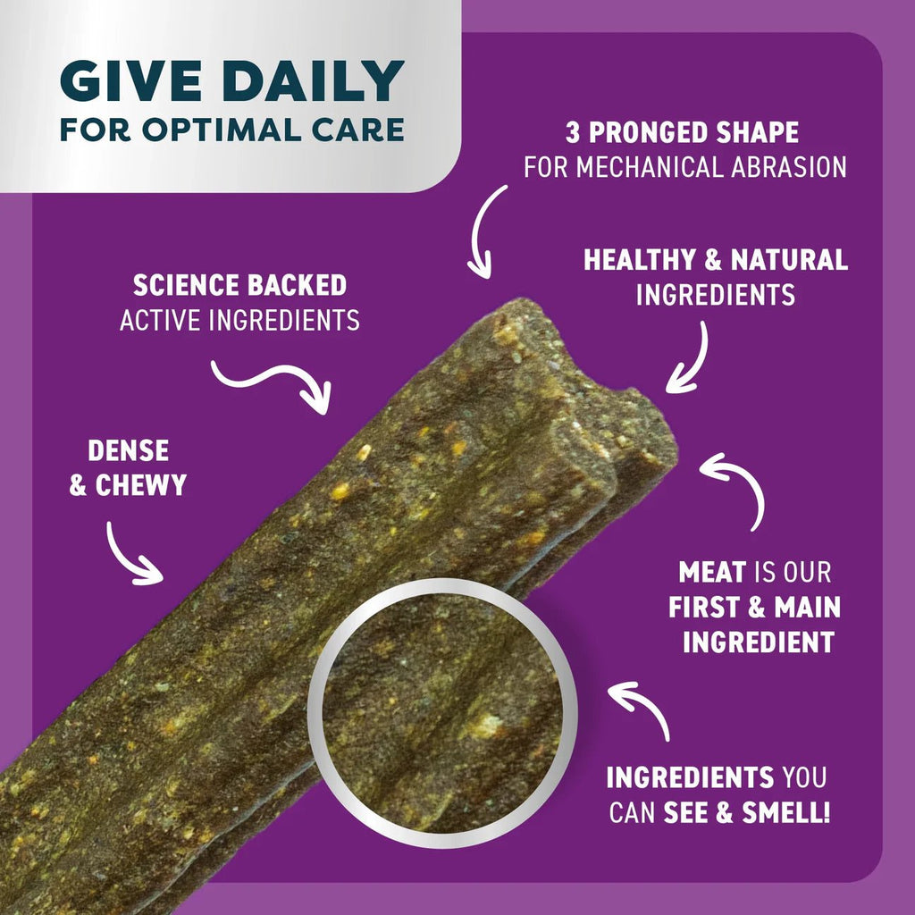 Dog Dental Sticks Roo Mint & Turmeric Small - House Of Pets Delight (HOPD)