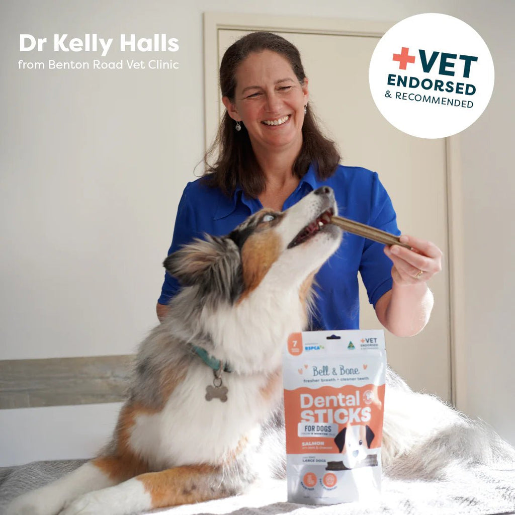 Dog Dental Sticks Salmon Mint & Charcoal - House Of Pets Delight (HOPD)