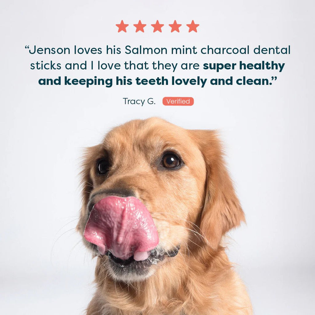 Dog Dental Sticks Salmon Mint & Charcoal - House Of Pets Delight (HOPD)