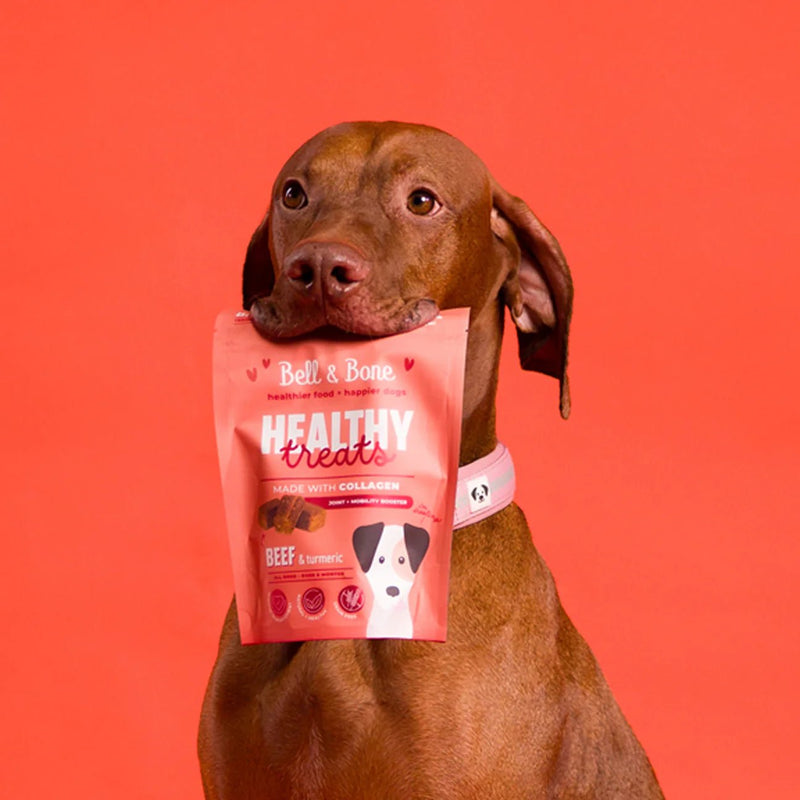 Dog Healthy Treats: Beef & Turmeric for Joint & Mobility Booster - House Of Pets Delight (HOPD)