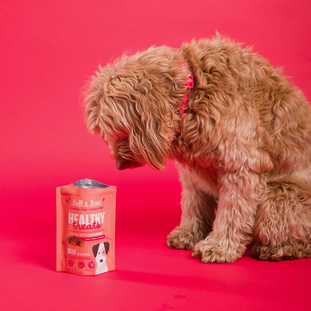 Dog Healthy Treats: Beef & Turmeric for Joint & Mobility Booster - House Of Pets Delight (HOPD)