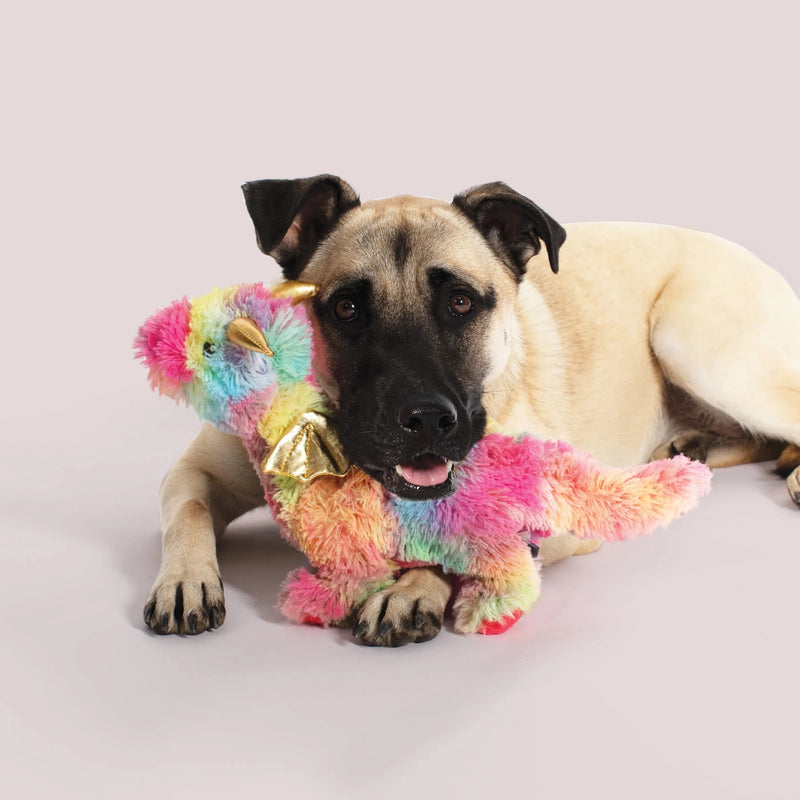 Ember The Rainbow Dragon Dog Toy - House Of Pets Delight (HOPD)
