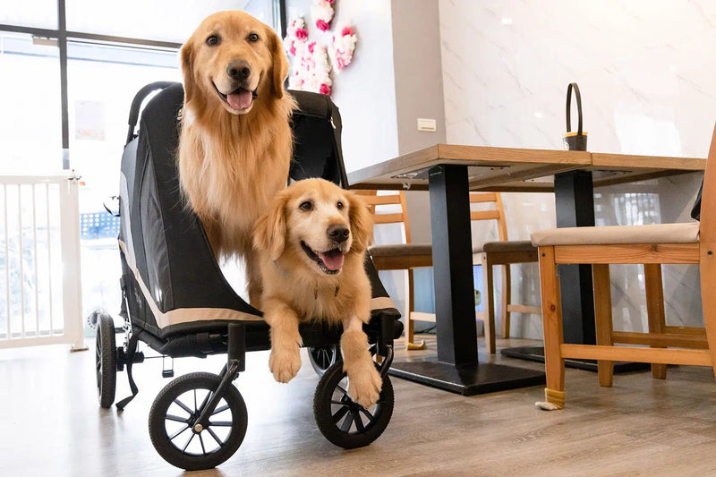 giant dog stroller Ibiyaya Grand Cruiser Dog Stroller