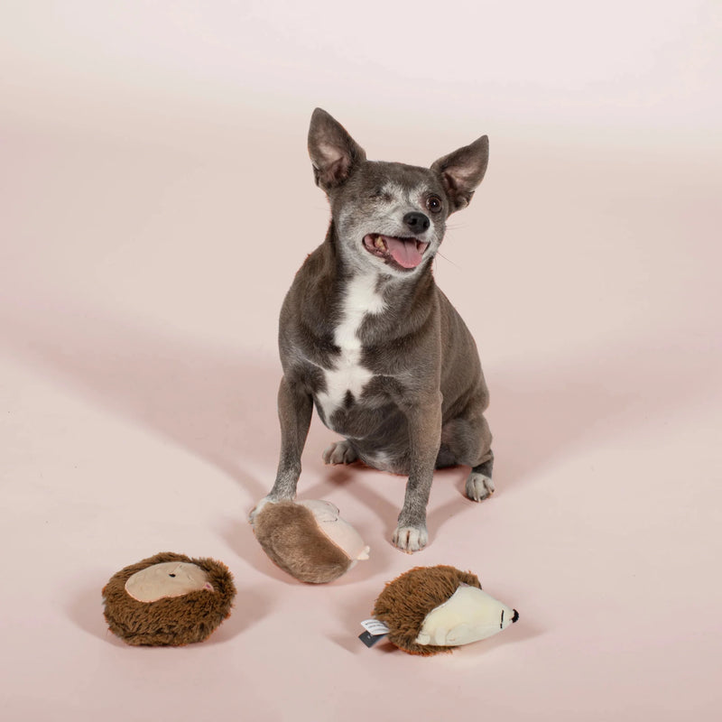 Hedgehugs All Day Mini Dog Toy Set - House Of Pets Delight (HOPD)