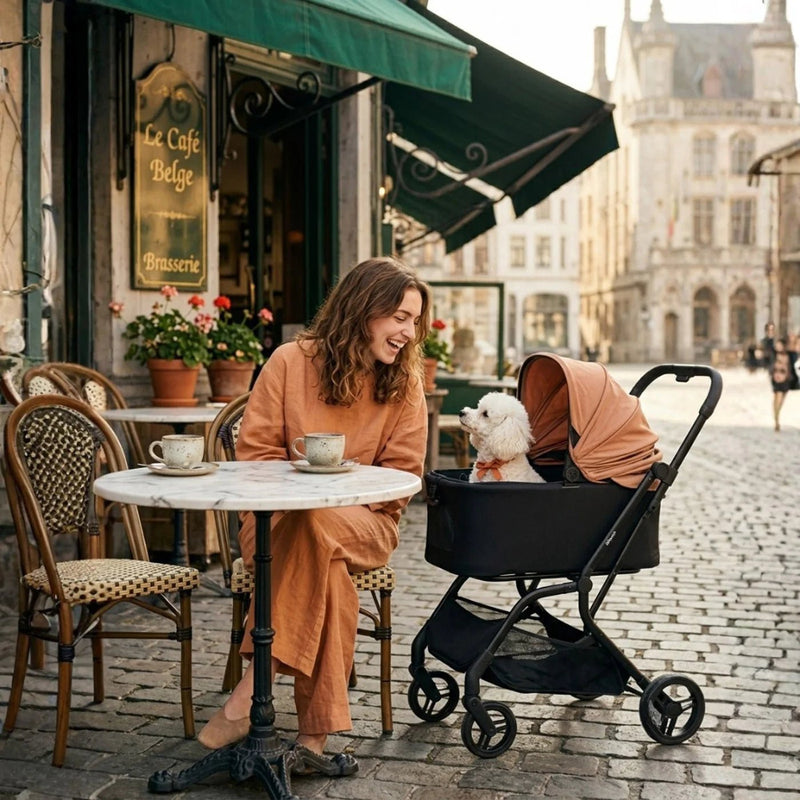 HUE-GO Detachable Pet Stroller & Capsule - Stone Grey - House Of Pets Delight (HOPD)