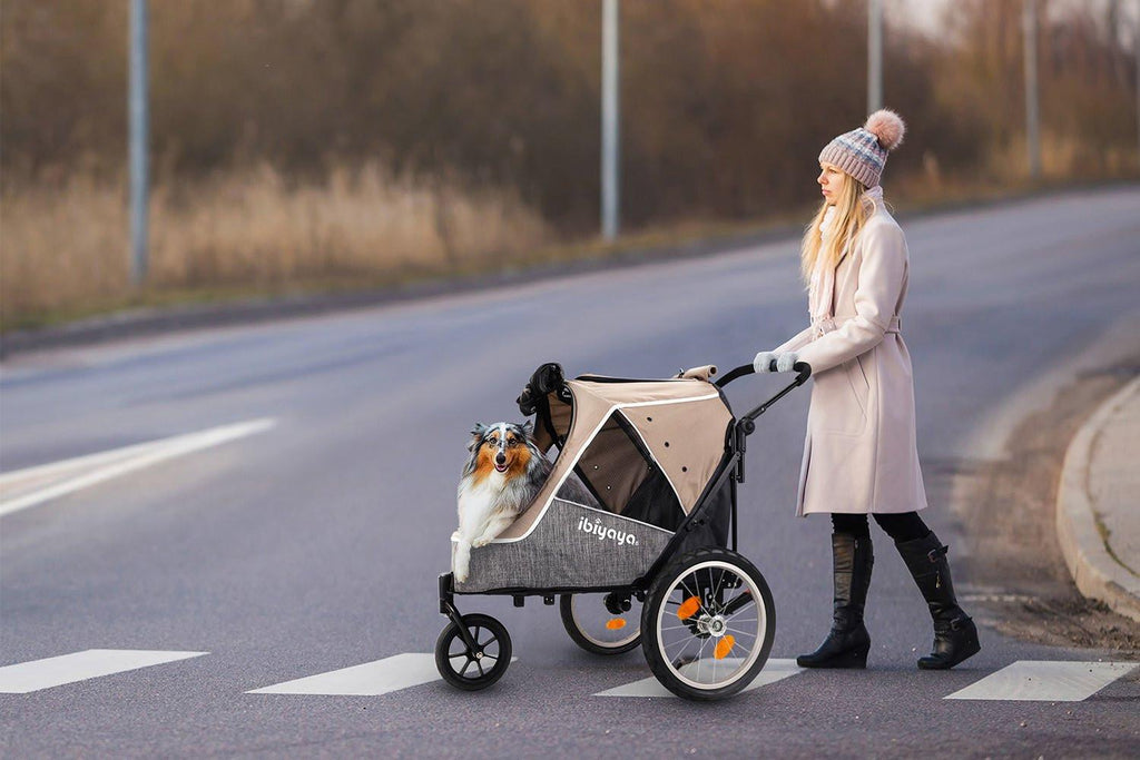 happypet fahrradanhänger Ibiyaya Happy Pet Trailer 2.0