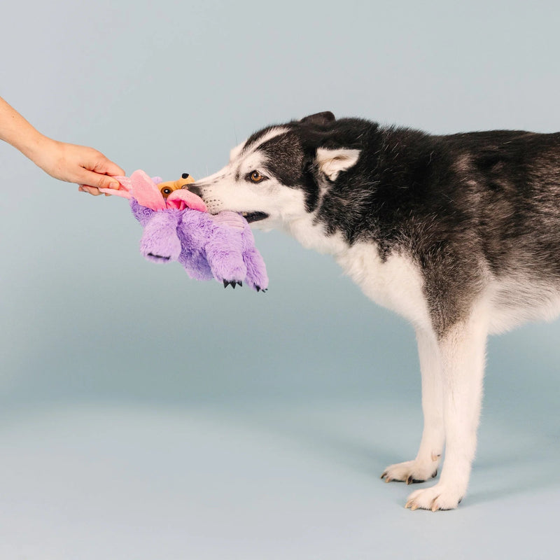 I'll Grow On You Dog Toy - House Of Pets Delight (HOPD)
