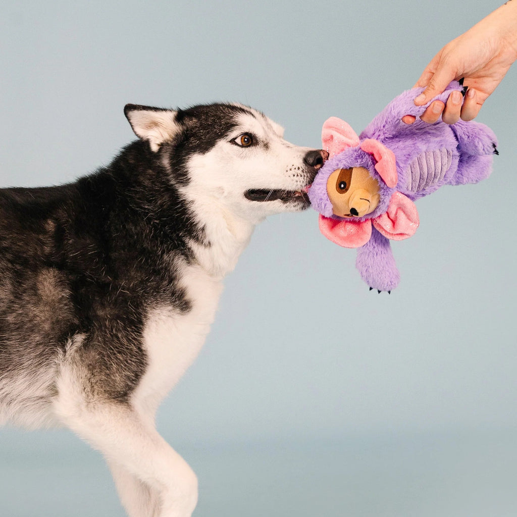 I'll Grow On You Dog Toy - House Of Pets Delight (HOPD)