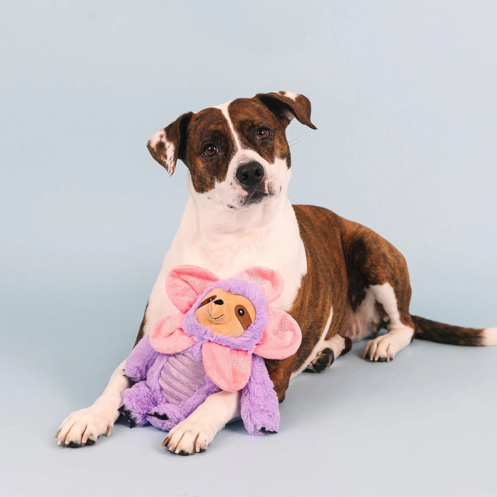 I'll Grow On You Dog Toy - House Of Pets Delight (HOPD)