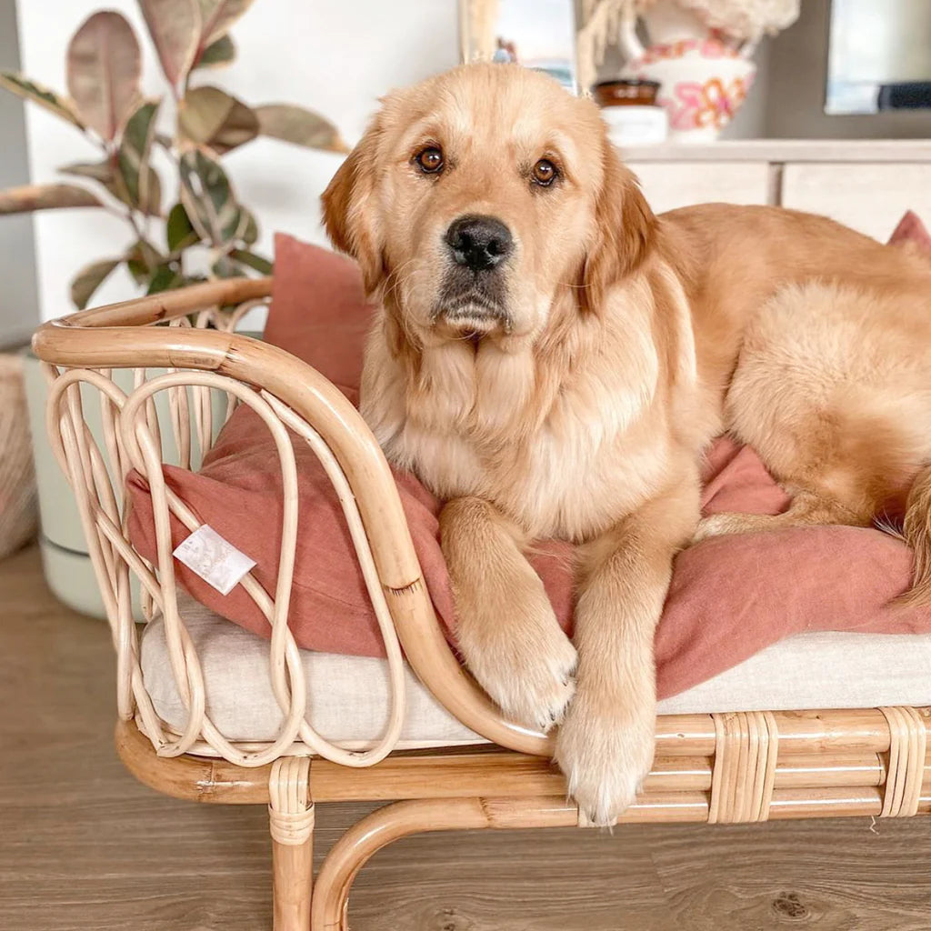 Molly Rattan Dog Bed (2 Sizes)