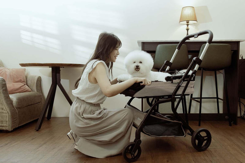dog car seat stroller combo Ibiyaya InstaCollapse Dog Stroller & Car Seat - Taupe