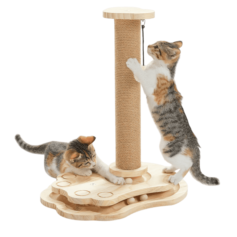 Kitty Interactive Turntable - Self - Amusement Toy - House Of Pets Delight (HOPD)