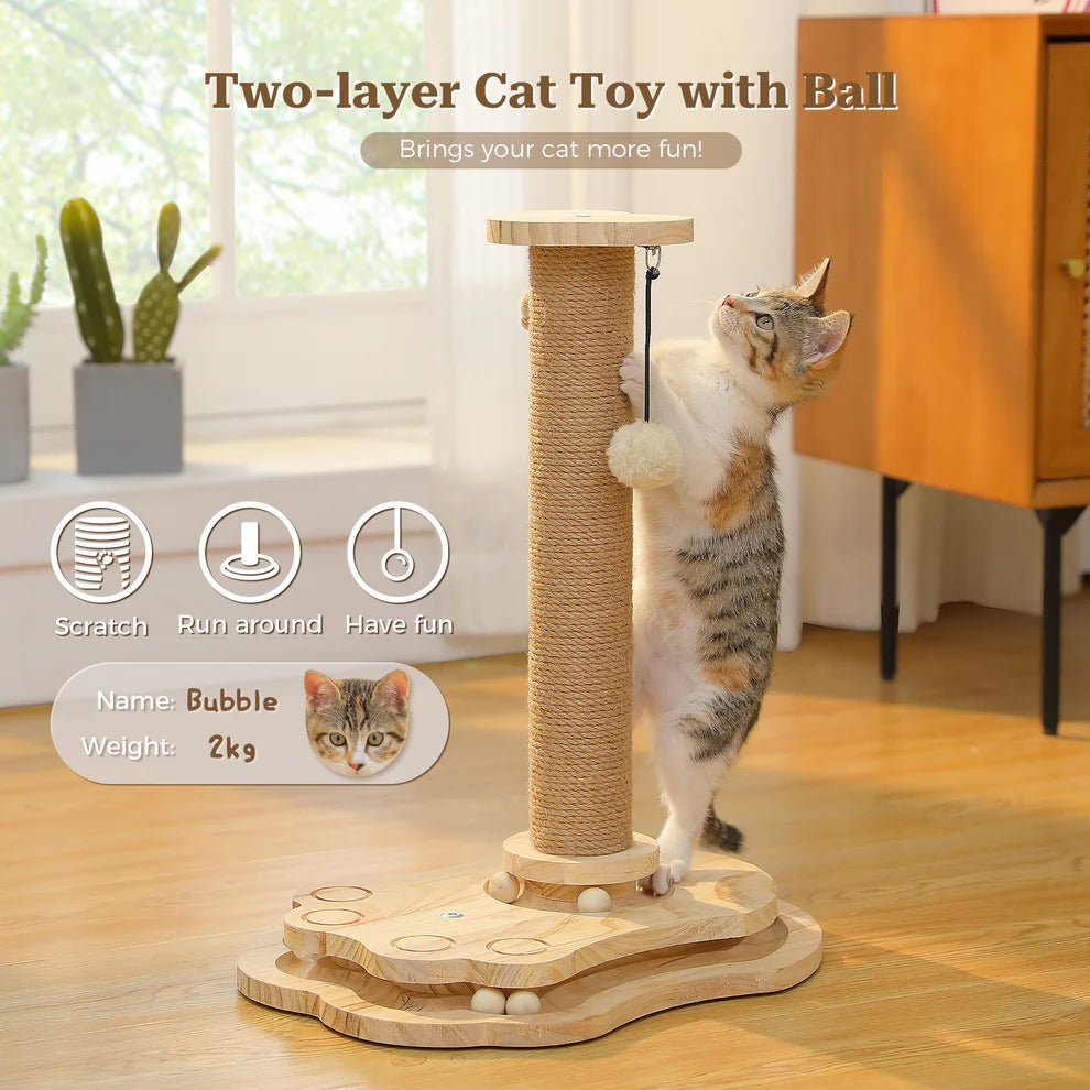 Kitty Interactive Turntable - Self - Amusement Toy - House Of Pets Delight (HOPD)