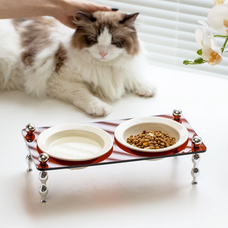 La Belle Raised Cat & Dog Bowl in Black & White - House Of Pets Delight (HOPD)
