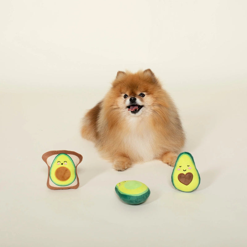 Let's Get Avo Control - Mini Dog Toy Set - House Of Pets Delight (HOPD)