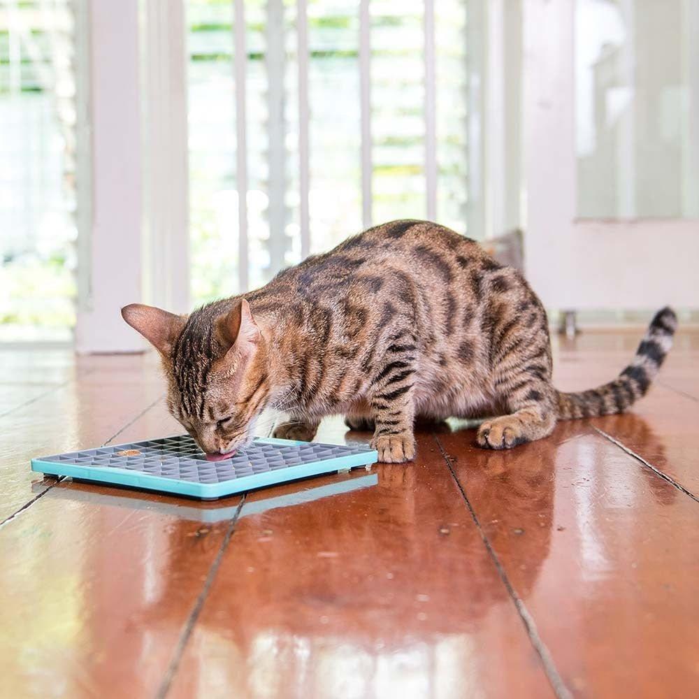 Lickimat Buddy Original Slow Food Mat - Large | House Of Pets Delight ...