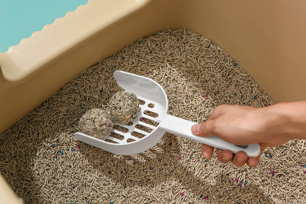 Long - Handle Cat Litter Scoop White - House Of Pets Delight (HOPD)
