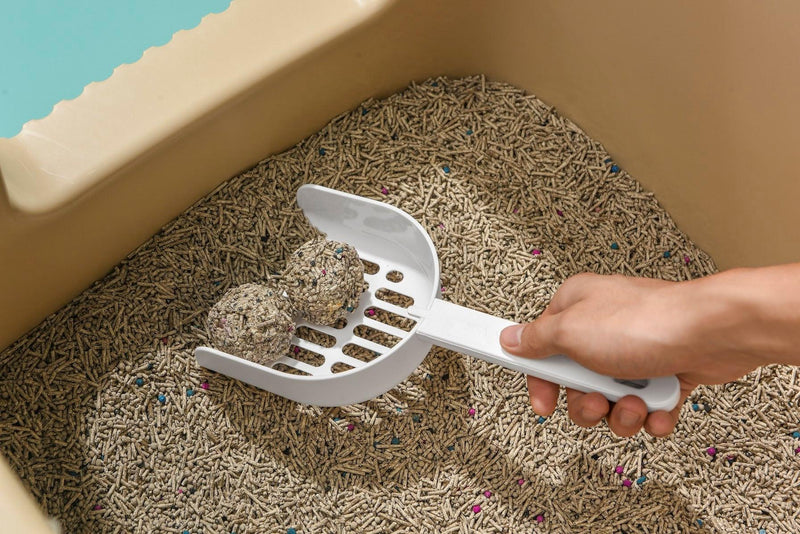 Long - Handle Cat Litter Scoop White - House Of Pets Delight (HOPD)