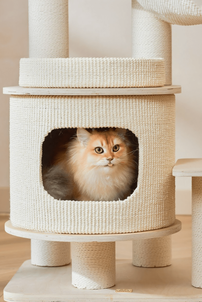 Luna Multi - Layer Solid Wood Cat Nest Tree - House Of Pets Delight (HOPD)