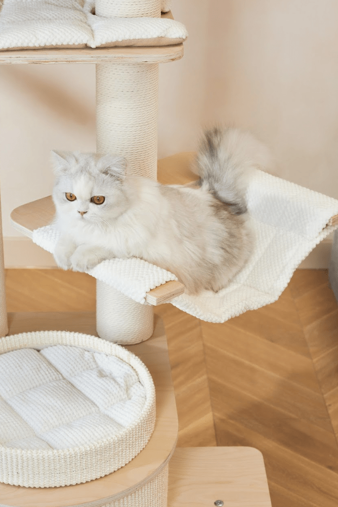 Luna Multi - Layer Solid Wood Cat Nest Tree - House Of Pets Delight (HOPD)