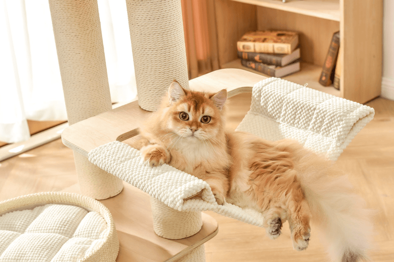 Luna Multi - Layer Solid Wood Cat Nest Tree - House Of Pets Delight (HOPD)