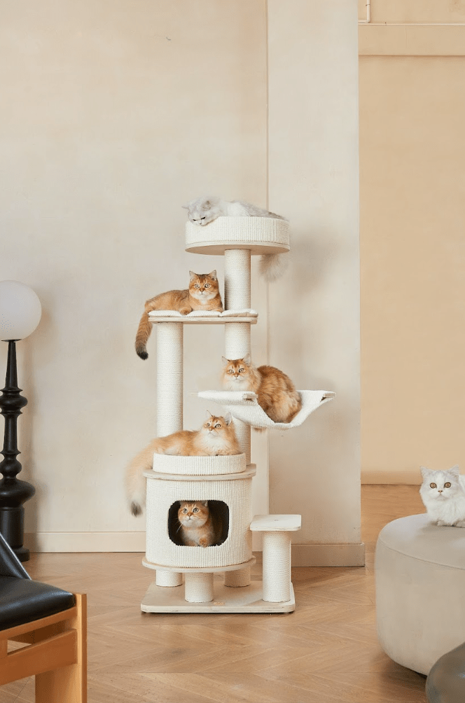 Luna Multi - Layer Solid Wood Cat Nest Tree - House Of Pets Delight (HOPD)