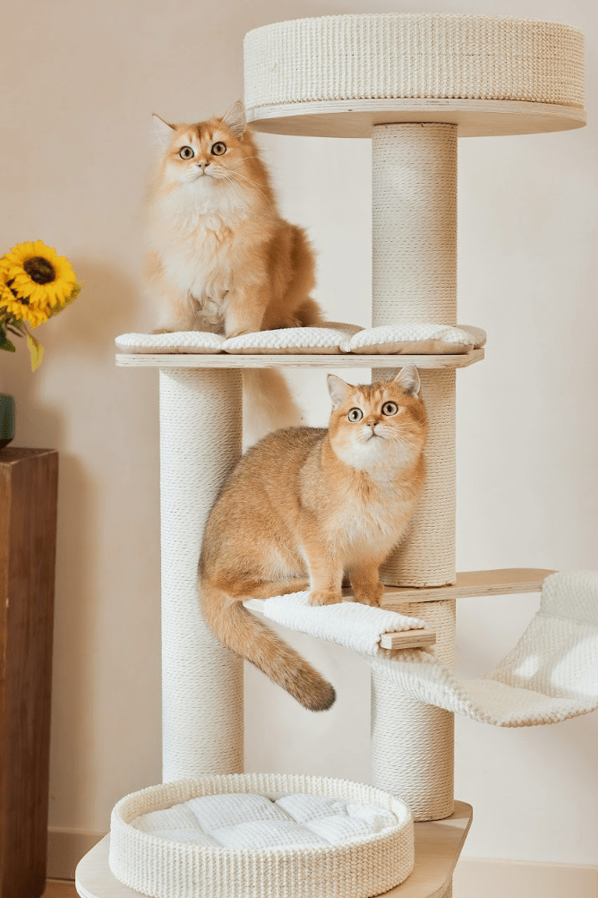 Luna Multi - Layer Solid Wood Cat Nest Tree - House Of Pets Delight (HOPD)