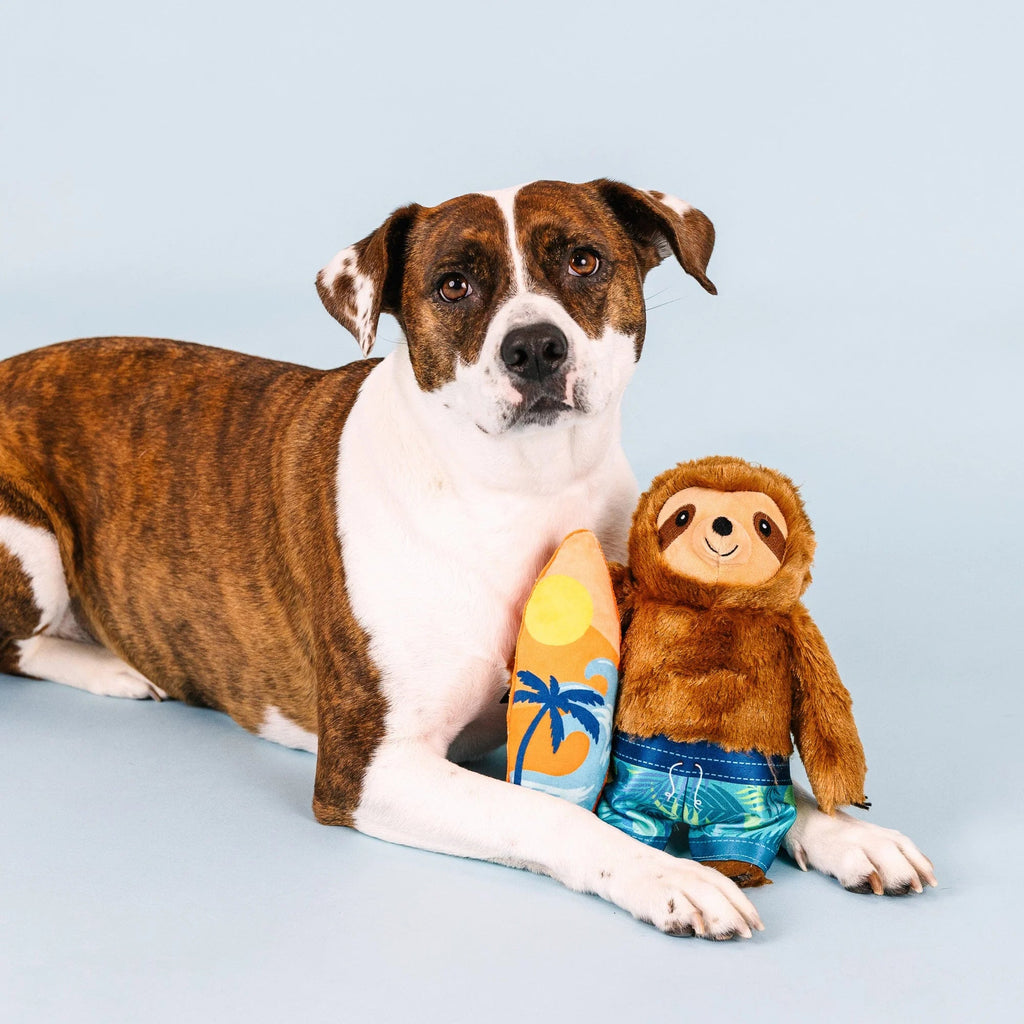 Makin' Waves Dog Toy - House Of Pets Delight (HOPD)