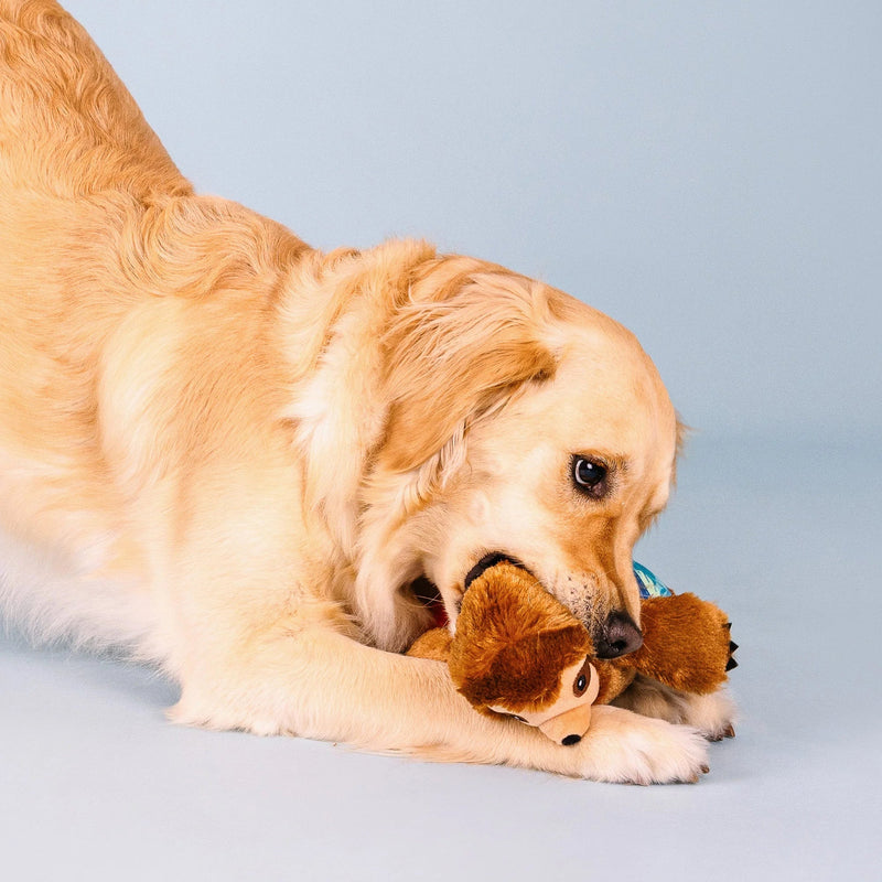 Makin' Waves Dog Toy - House Of Pets Delight (HOPD)
