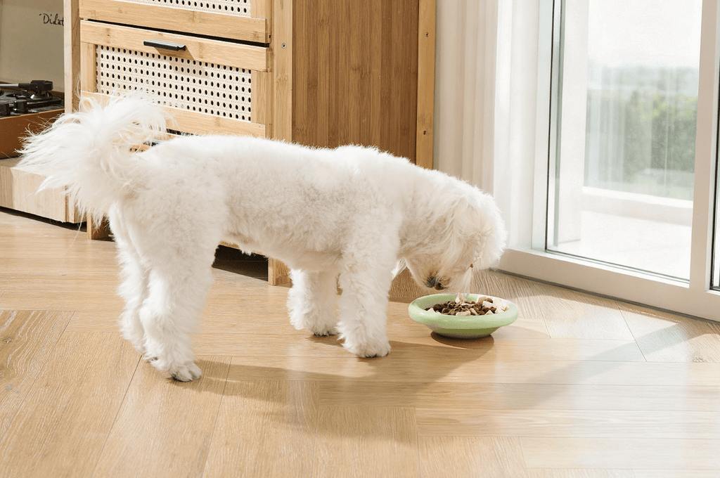 Marshmallow Ceramic Cat Bowl – Anti - Whisker Fatigue Wide Shallow Design - Sky - House Of Pets Delight (HOPD)