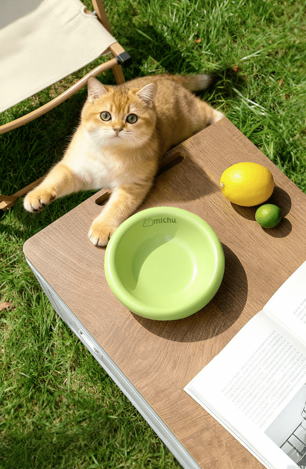 Marshmallow Ceramic Cat Bowl – Anti - Whisker Fatigue Wide Shallow Design - Sky - House Of Pets Delight (HOPD)