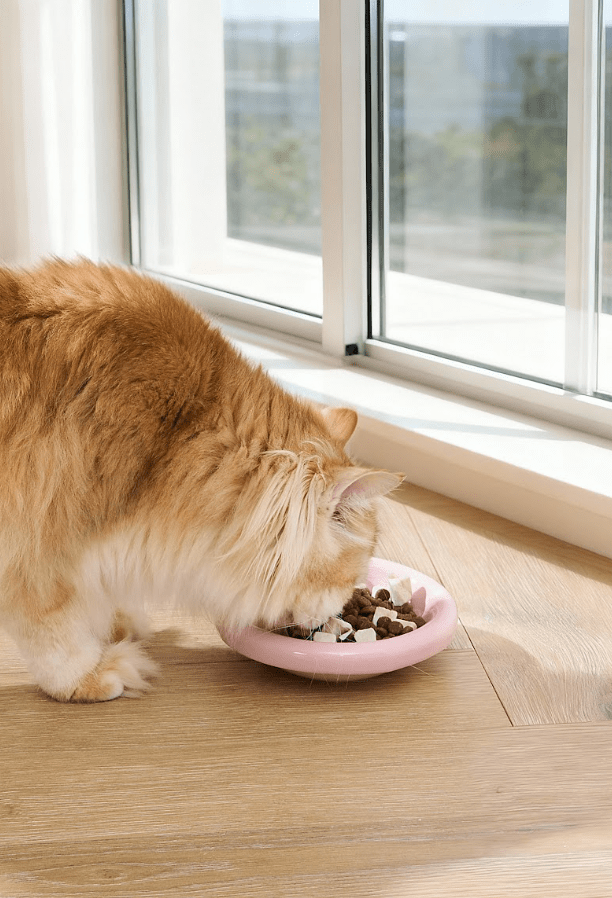 Marshmallow Ceramic Cat Bowl – Anti - Whisker Fatigue Wide Shallow Design - Sky - House Of Pets Delight (HOPD)