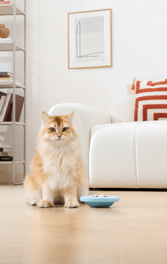 Marshmallow Ceramic Cat Bowl – Anti - Whisker Fatigue Wide Shallow Design - Sky - House Of Pets Delight (HOPD)