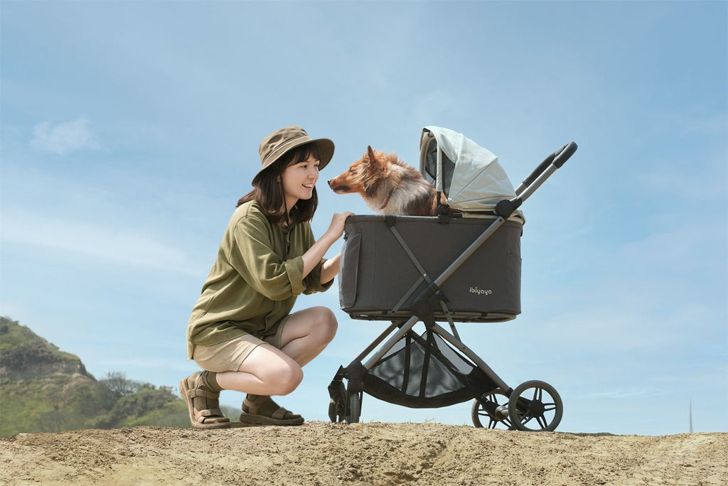 Maxi Deep Carriage Pet Stroller Lightweight and Collapsible - Grey - House Of Pets Delight (HOPD)
