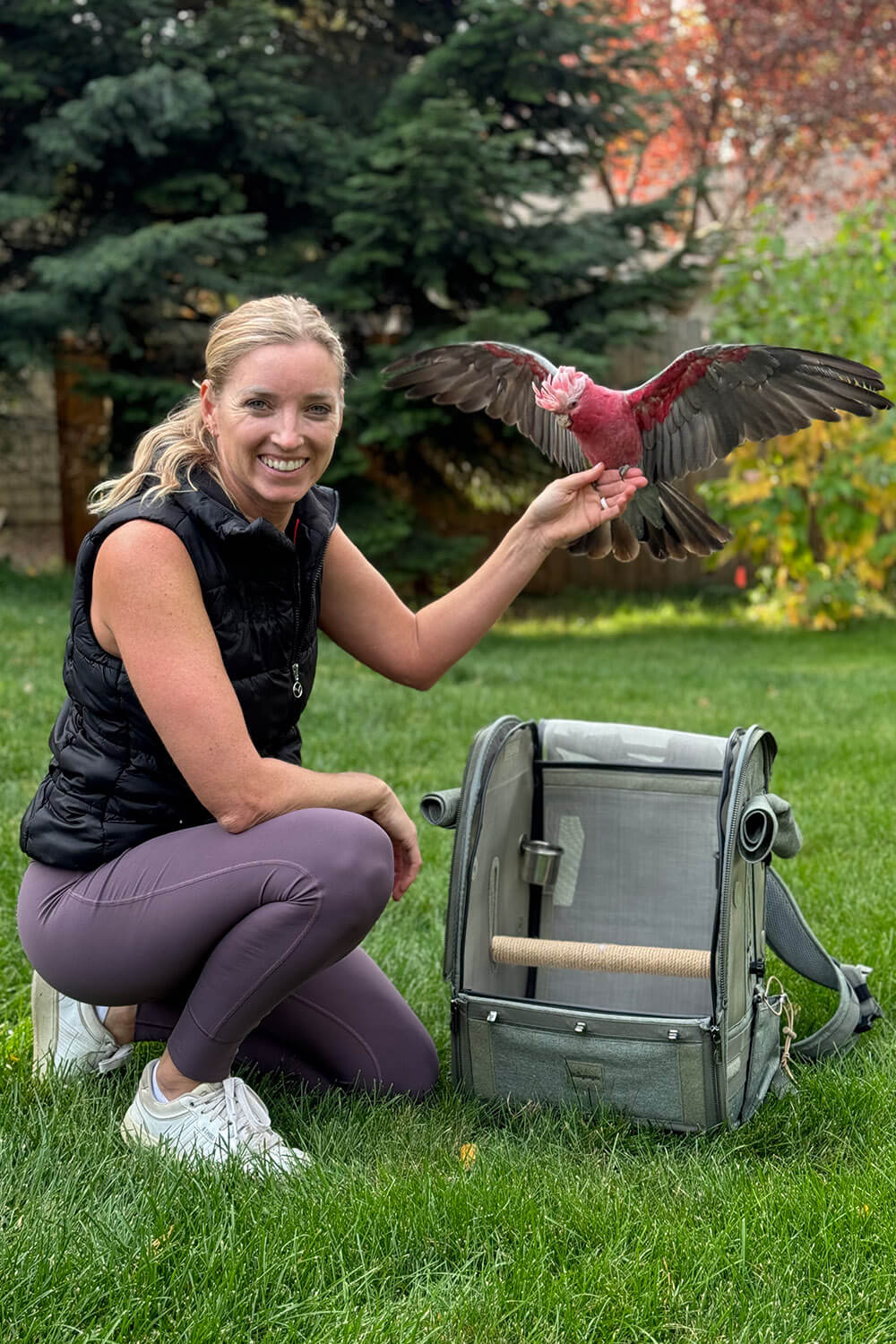 Medium Size TrackPack, Backpack Bird Travel Carrier with Perch – Jungle Green PREORDER - House Of Pets Delight (HOPD)