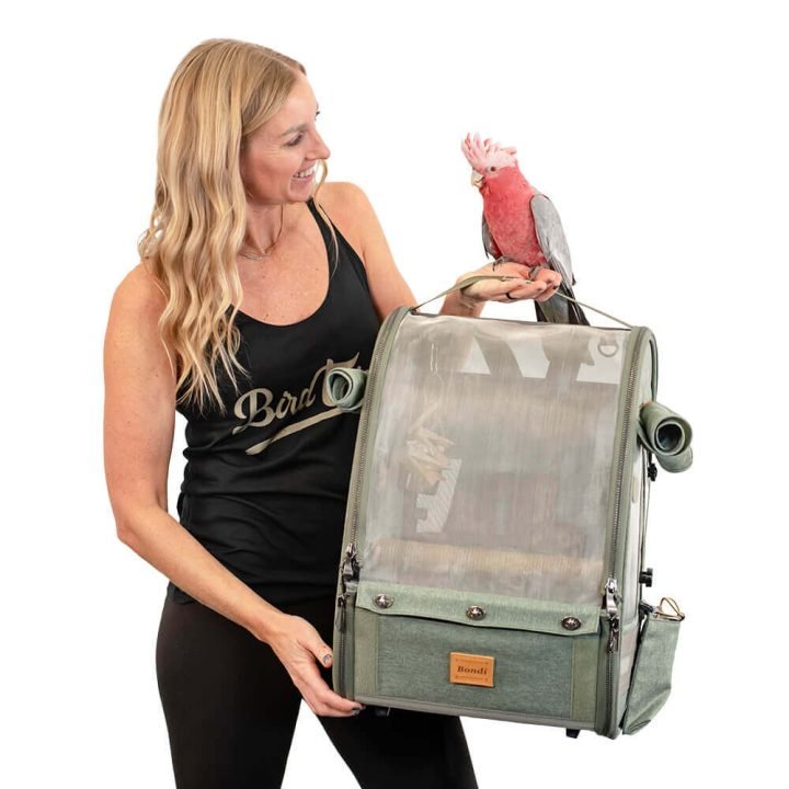 Medium Size TrackPack, Backpack Bird Travel Carrier with Perch – Jungle Green PREORDER - House Of Pets Delight (HOPD)