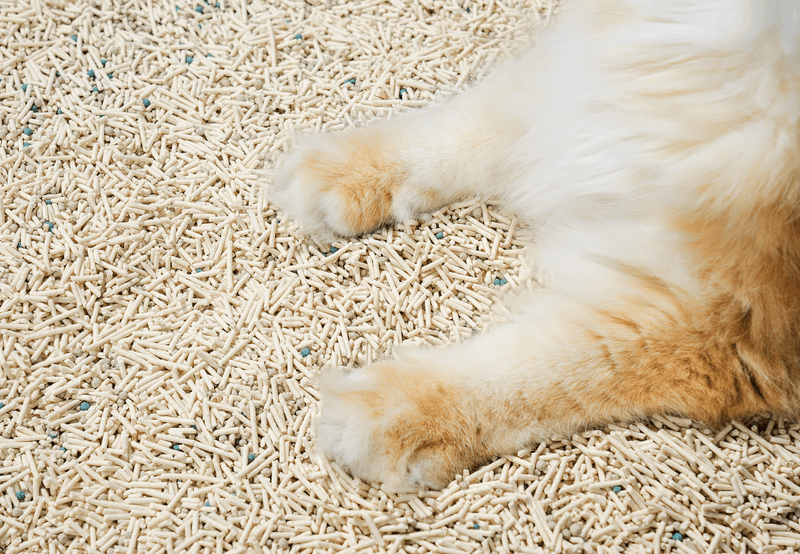 Mixed Tofu Cat Litter Lite 6L – Flushable, Eco - Friendly & Odour Control - House Of Pets Delight (HOPD)