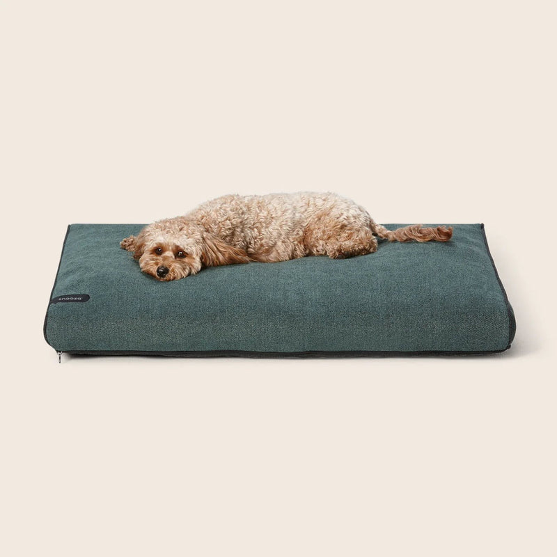 Modern Dog Daybed - Forest Green - House Of Pets Delight (HOPD)