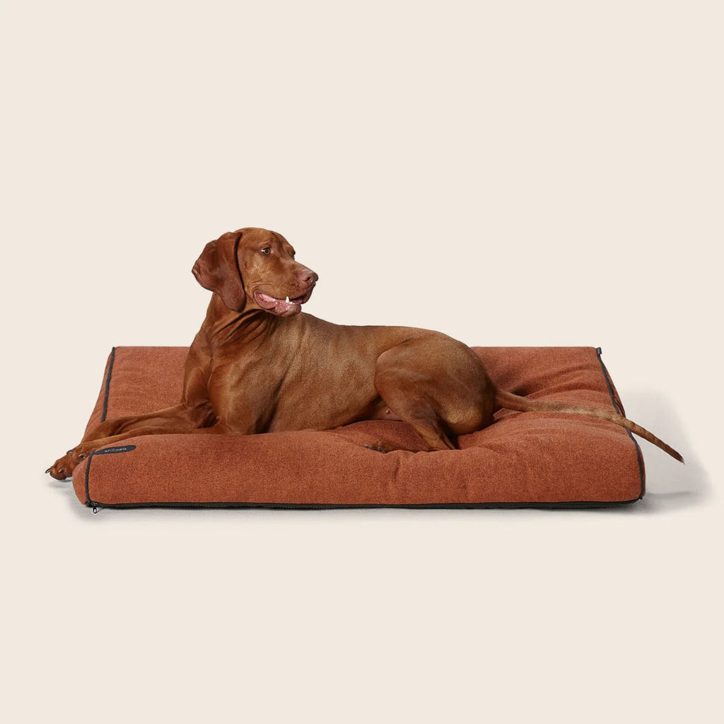 Modern Dog Daybed - Paprika - House Of Pets Delight (HOPD)